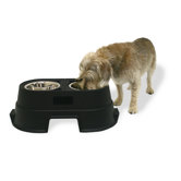 Dog Feeding