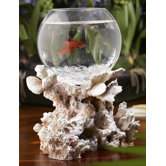 Betta Treasures Blue Lagoon Fossilized Coral Aquarium
