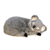 Koala Soft Toy