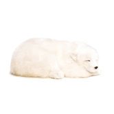 Polar Bear Soft Toy