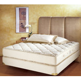 7 Zone Latex Foam Mattress