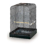 Parrot Cage