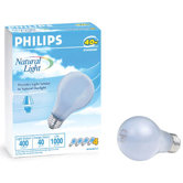 Incandescent Light Bulb (Set of 4)