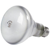DuraMax Long Life Reflector Floodlight Bulb
