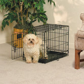 Life Stages Fold & Carry Single-Door Dog Crate
