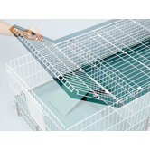 Guinea Habitat Top Panel