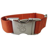 Solid Webbing Dog Collar