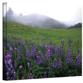 Kathy Yates ''Figueroa Mountain with Fog'' Canvas Art