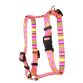 Paisley Roman Harness