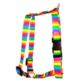 Rainbow Stripes Roman Harness