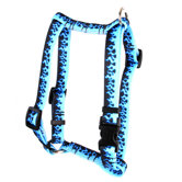 Flames Roman Harness