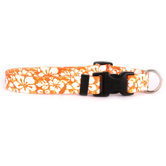 Island Floral Standard Collar