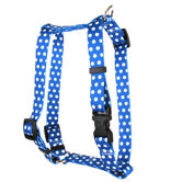 Polka Dot Roman Harness