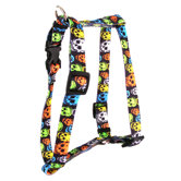 Neon Skulls Roman Harness