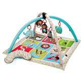 Alphabet Zoo Activity Gym
