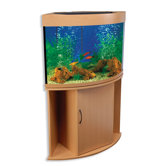 Compass Rose I Corner Aquarium and Stand
