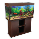 Delta Queen V Rectangular Aquarium and Stand