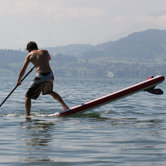 Shark Stand Up Paddle Board