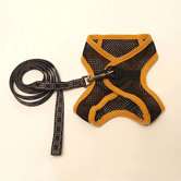 Airness Dog Harness and Leash Set