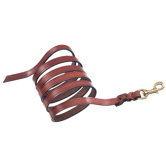 Classic Long Training Dog Leash