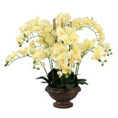 32" Lifelike Silk Orchid Arrangement