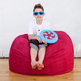 Small Sac Bean Bag Chair