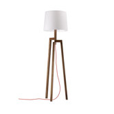 Floor Lamps