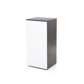 Allure 36" Storage Cabinet in White and Ebony with 1 Door