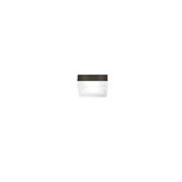 Cirque 90&deg; 2 Light Flush Mount