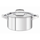 Stainless Steel Cookware