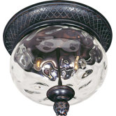 Carriage House VX  Outdoor Ceiling Mount