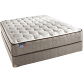 BeautySleep Crossgate Plush Euro Top Mattress