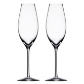 Difference Sparkling Wine Glass (Set of 2)
