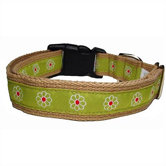 Green Daisy Cotton Dog Collar