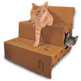 Step 'N Play Pet Steps