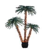 Palm Tree in a Pot