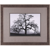 Oak Tree, Sunset City Framed Artwork
