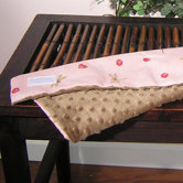 Pink Ladybugs and Dragonflies Minky Binky Blanket