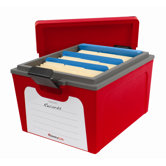 Guardian Storage Box