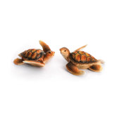 Turtle Porcelain Turtles Figurine Set