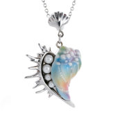 Seashell Necklace