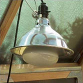 Wonderlight with Fixture