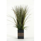 Onion Grass in Rectangle Ceramic Planter