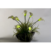 Lighted Calla Lilies in Square Planter