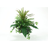 Mixed Dracaena, Birdnest Palm and Philo Ivy in Oval Metal Planter