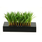 Wild Grass Wooden Planter