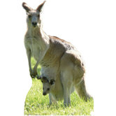 Kangaroo Cardboard Stand-Up