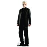 Draco Malfoy Cardboard Stand-Up