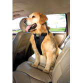 Tru-Fit Smart Dog Harness in Black