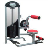 Phantom Commercial Abdominal/Back Extension with Optional RL